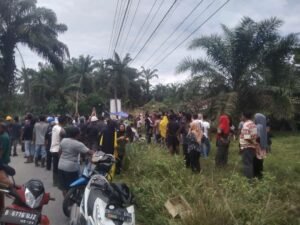 Ratusan Warga Pulo Padang Dukung Pabrik PT. PPSP Dioperasikan, Pendemo Tak Berkutik