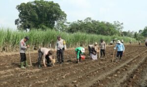 Polresta Malang Kota Dukung Program Asta Cita Kampanyekan Swasembada Pangan Nasional